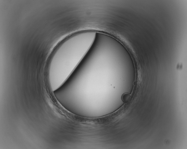X0000113610580200909181054