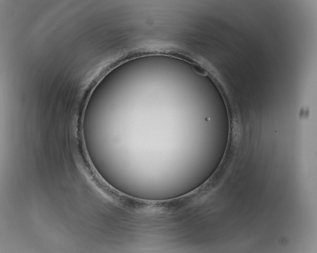 X0000113610581200909181054