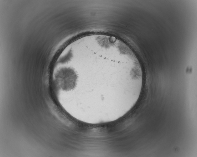 X0000113610584200909181054