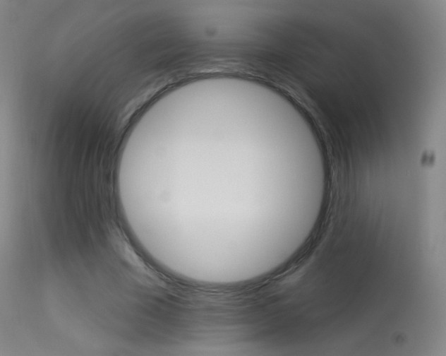 X0000113610585200909181054
