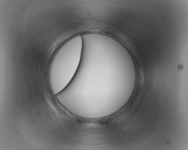 X0000113610586200909181053