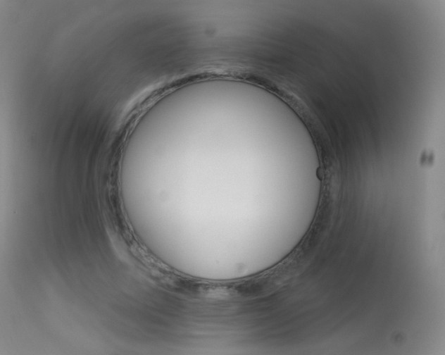 X0000113610587200909181053