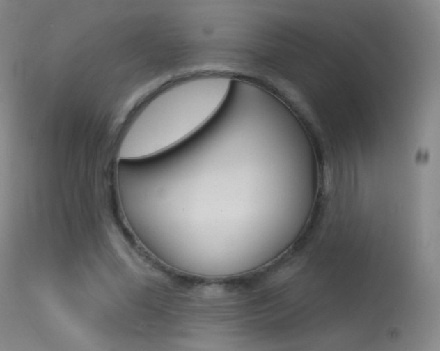 X0000113610588200909181053