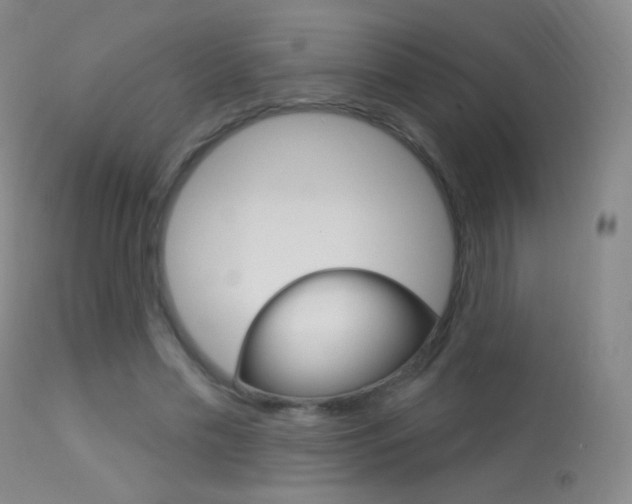 X0000113610589200909181053