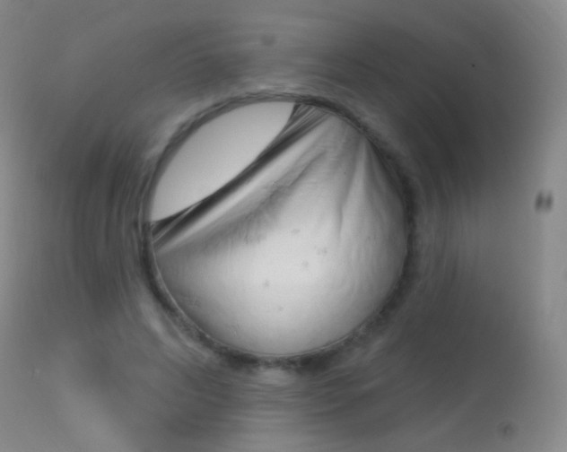 X0000113610592200909181053