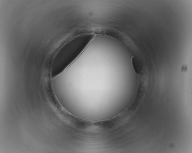 X0000113610593200909181053