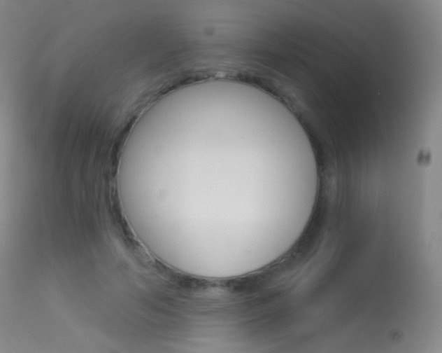 X0000113610594200909181053