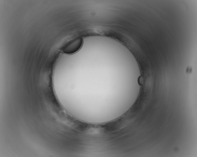 X0000113610595200909181053