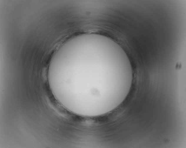 X0000113610598200909181053