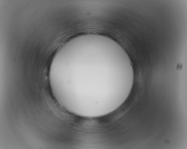 X0000113610599200909181053