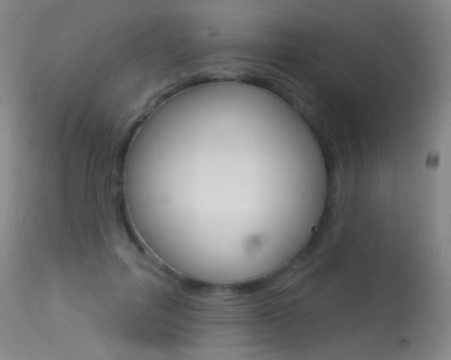 X0000113610600200909181053