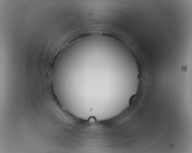 X0000113610601200909181053