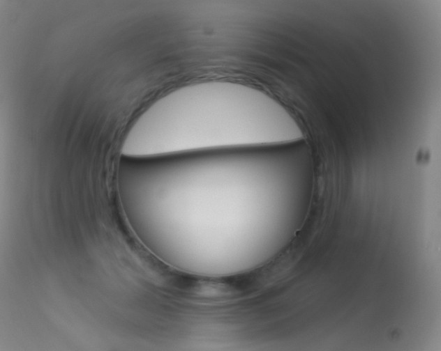 X0000113610605200909181053