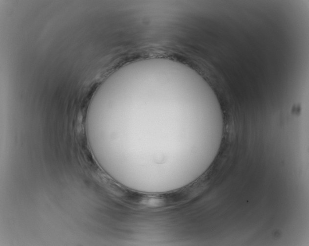 X0000113610610200909181053
