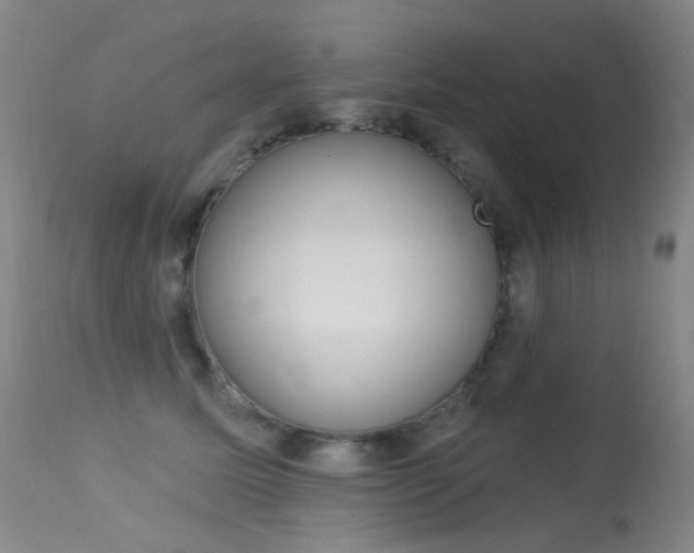 X0000113610611200909181053