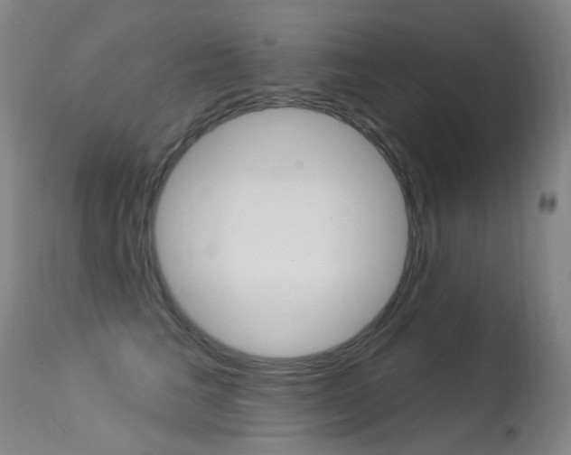 X0000113610613200909181053