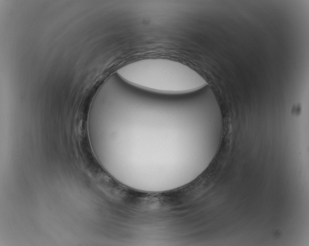 X0000113610615200909181053
