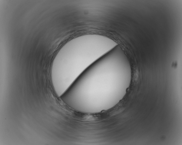 X0000113610616200909181053