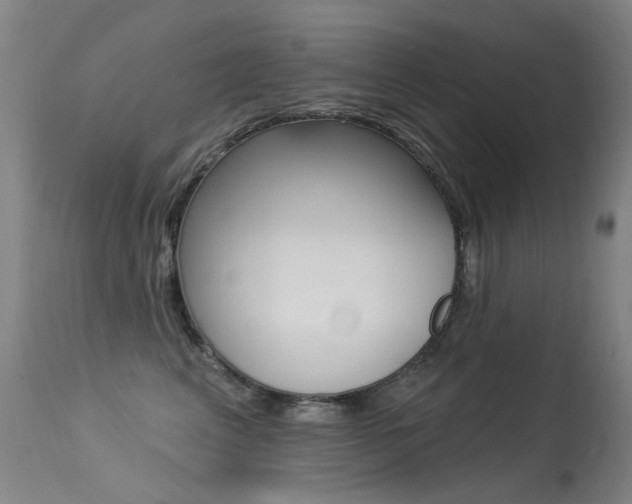 X0000113610617200909181053