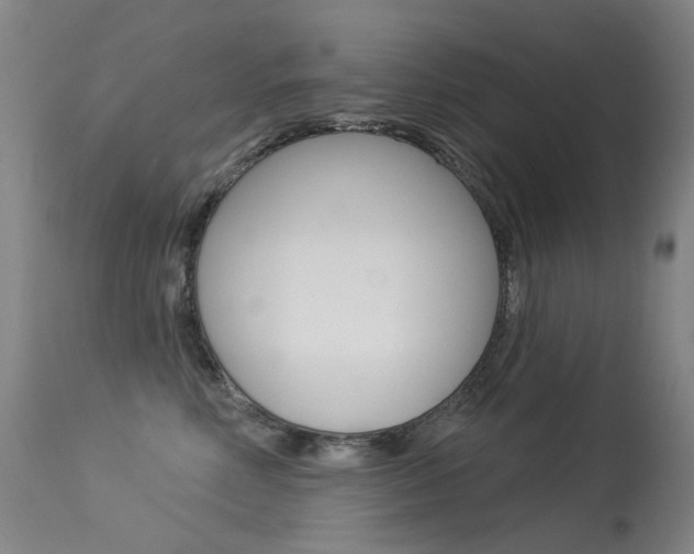X0000113610618200909181053
