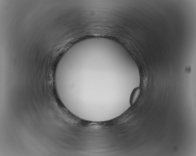 X0000113610620200909181053