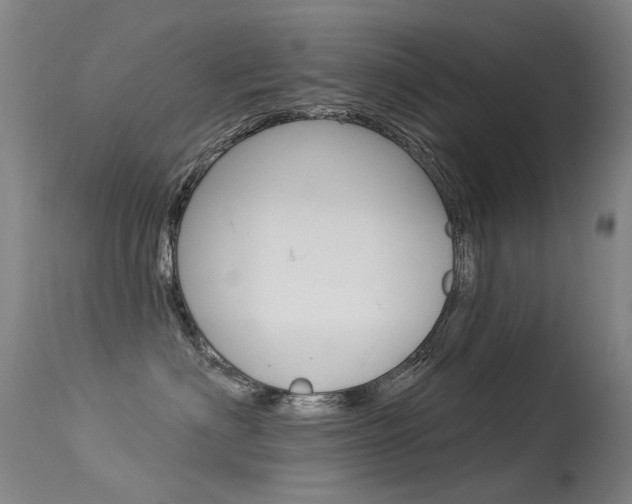 X0000113610622200909181053