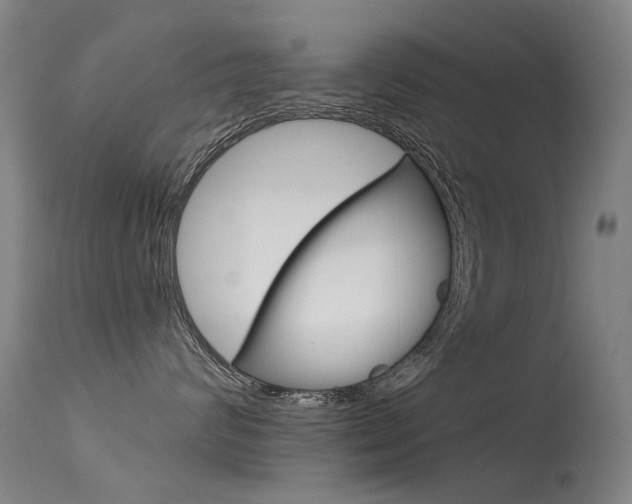 X0000113610624200909181053