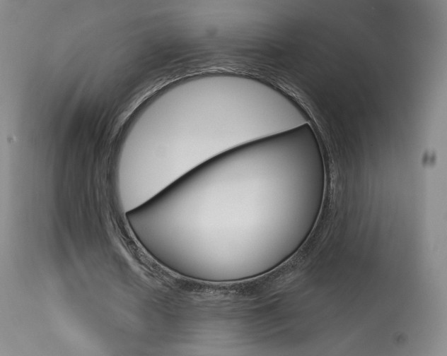 X0000113610626200909181052