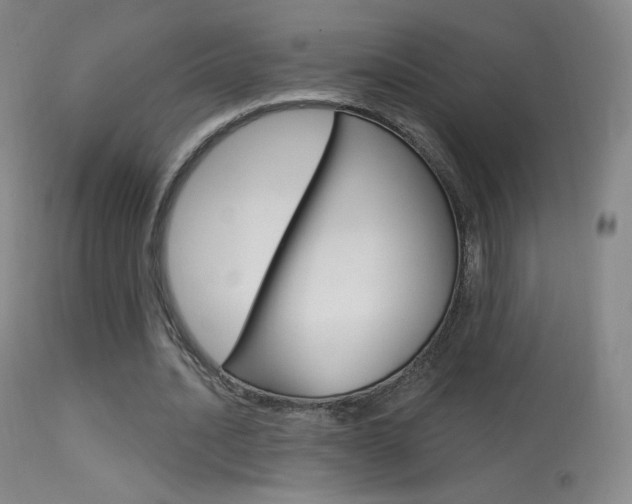 X0000113610628200909181052