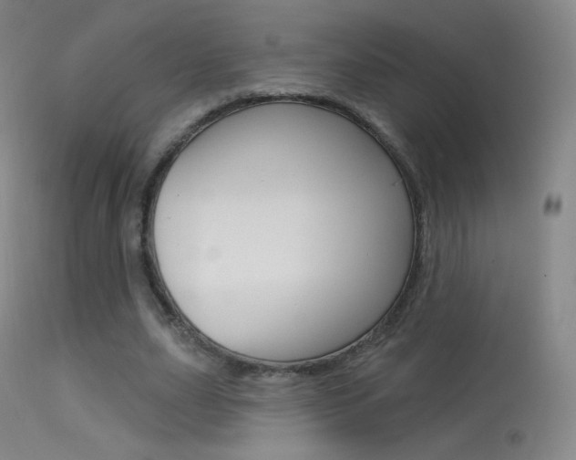 X0000113610631200909181052