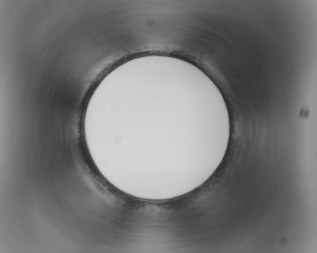 X0000113610632200909181052