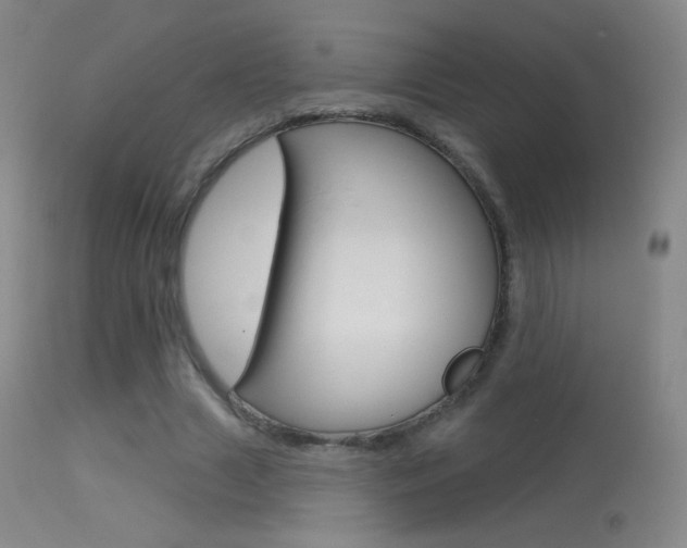 X0000113610633200909181052