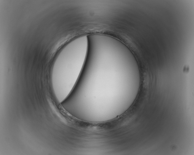 X0000113610634200909181052