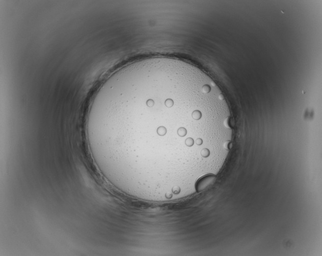 X0000113610635200909181052