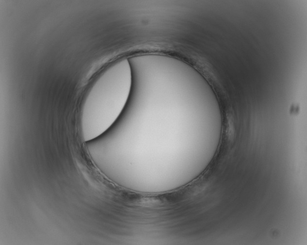 X0000113610636200909181052
