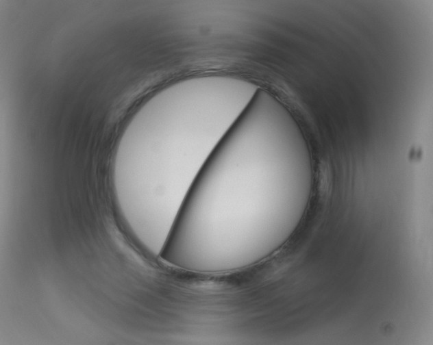 X0000113610637200909181052