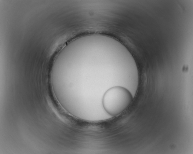 X0000113610638200909181052