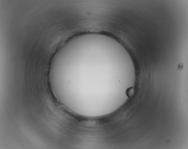X0000113610639200909181052