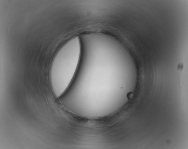 X0000113610641200909181052