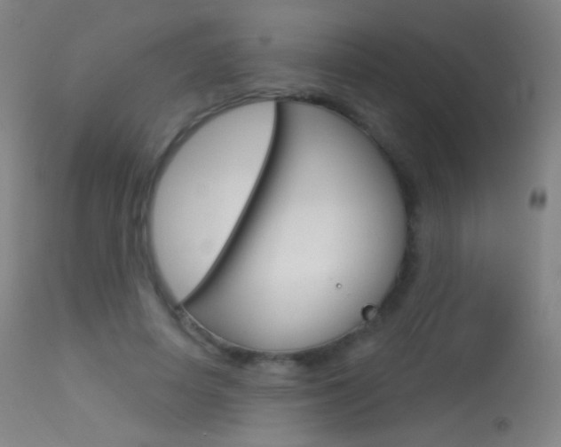 X0000113610642200909181052