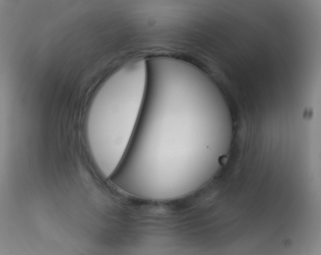 X0000113610643200909181052