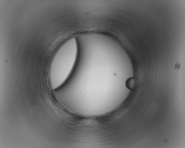 X0000113610644200909181052