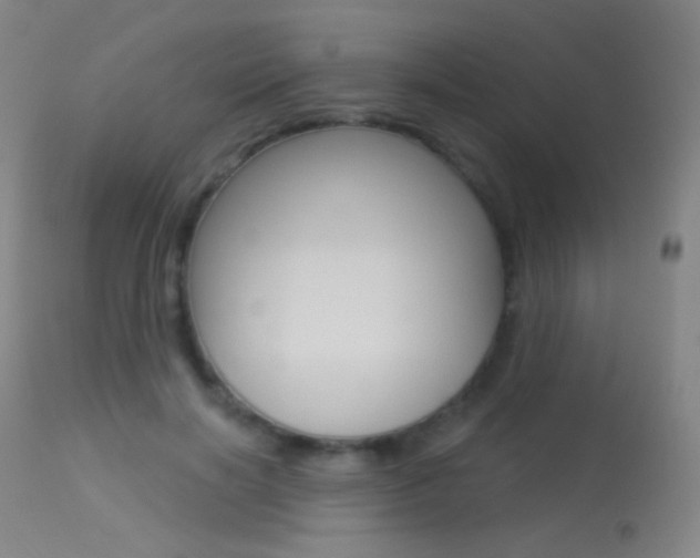 X0000113610646200909181052