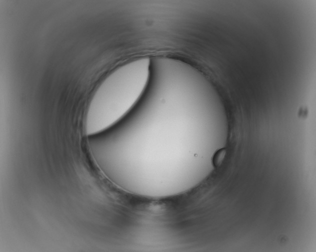 X0000113610647200909181052