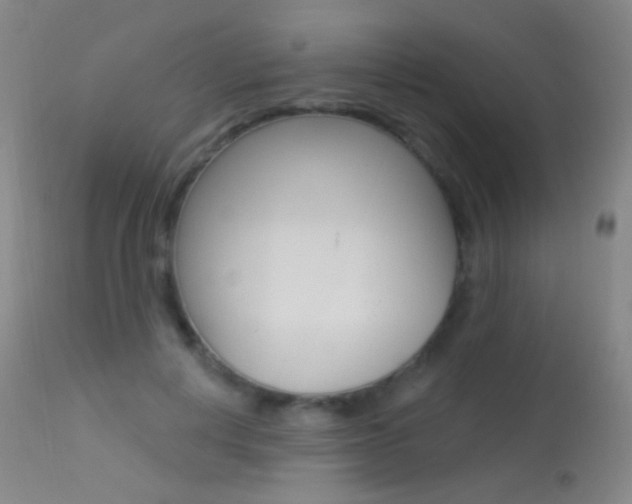 X0000113610648200909181052