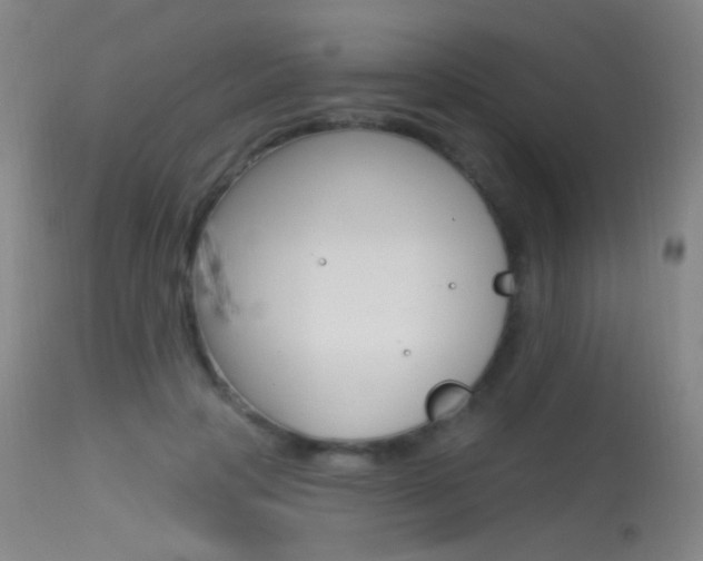 X0000113610649200909181052