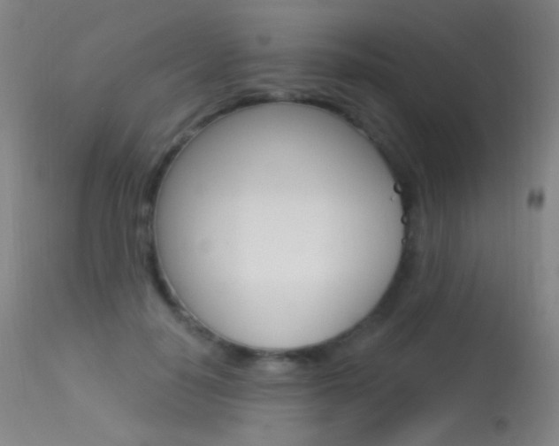 X0000113610650200909181052