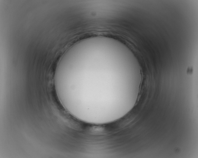 X0000113610651200909181053