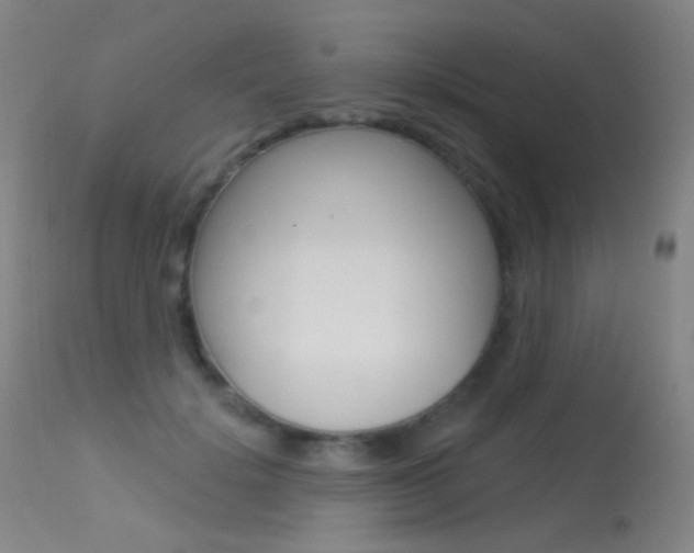 X0000113610652200909181053