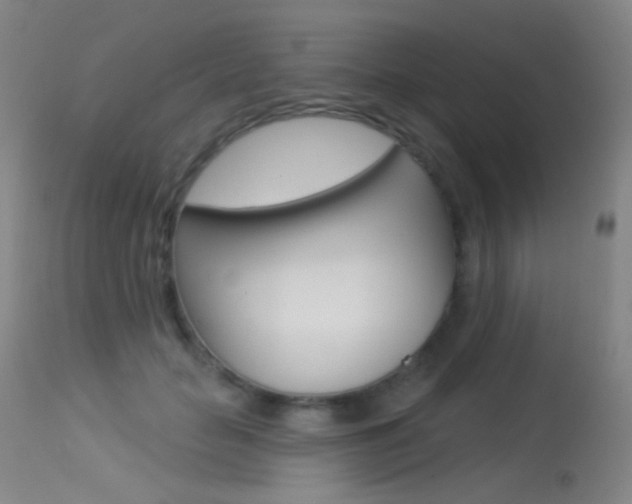 X0000113610653200909181053